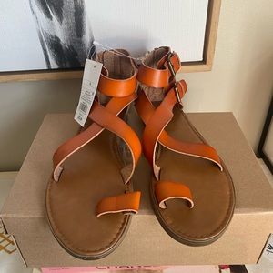 Brand new brown gladiator sandals